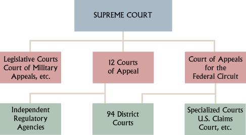 federal judicial branch courts court system judiciary levels powers state branches government other chart three marbury madison versus google justice